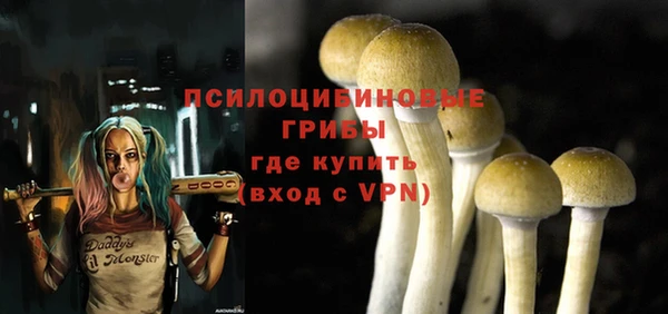 гидропоника Балахна