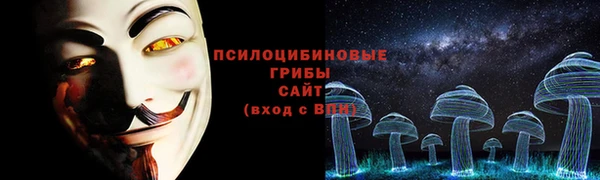 гидропоника Балахна